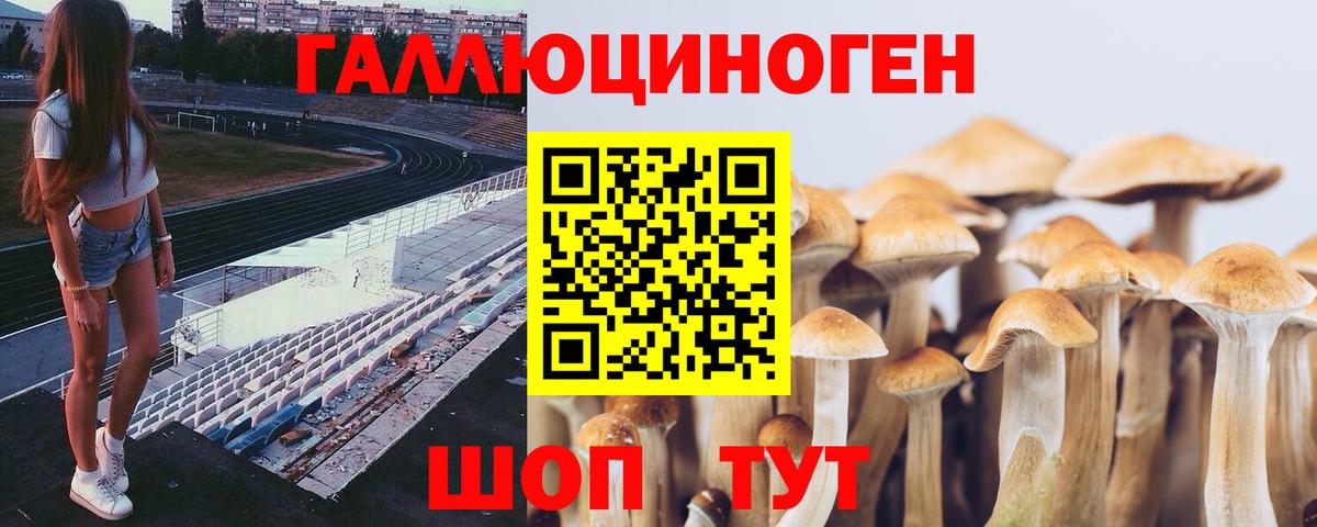 Псилоцибиновые грибы ЛСД Кинель