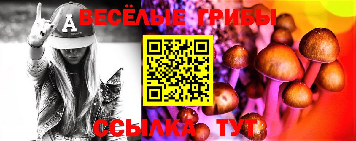 Псилоцибиновые грибы Psilocybine cubensis  Вход с VPN  Псилоцибиновые грибы мицелий  Кинель 